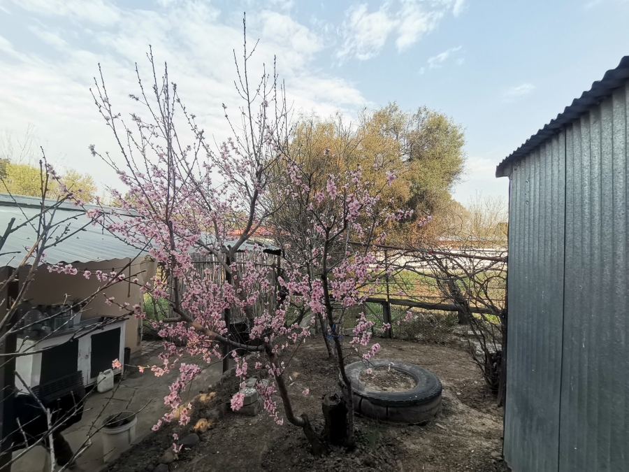 3 Bedroom Property for Sale in Senekal Free State